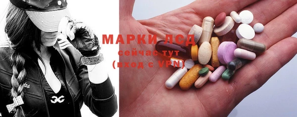 индика Вяземский