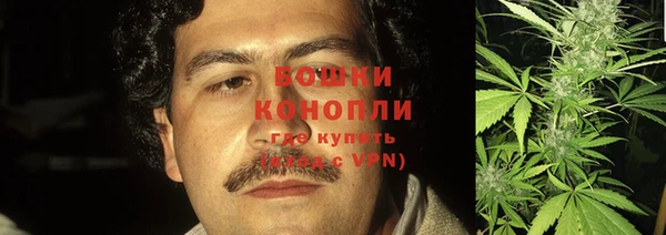 индика Вяземский
