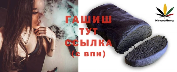 индика Вяземский