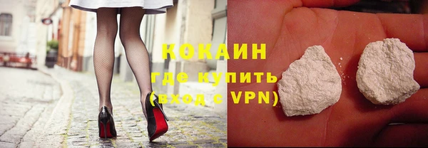 индика Вяземский