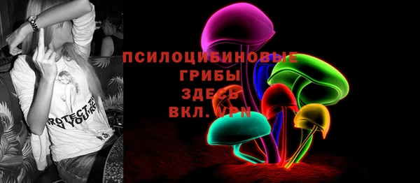 сатива Вязьма