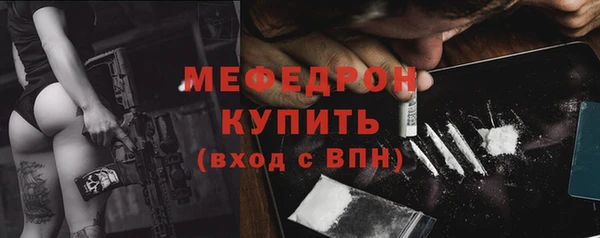 индика Вяземский