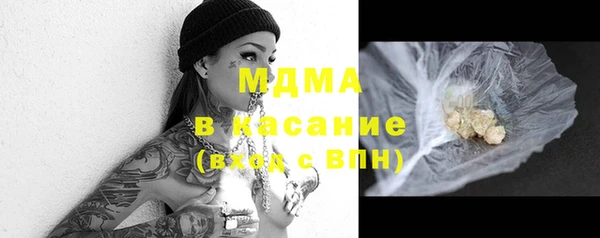 индика Вяземский