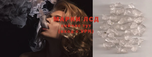индика Вяземский