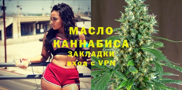 индика Вяземский