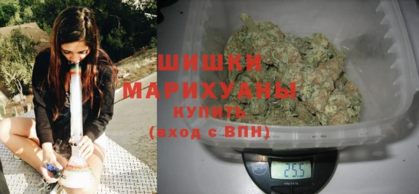 сатива Вязьма