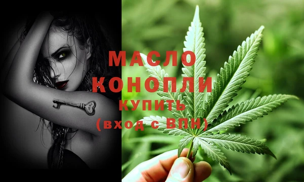 индика Вяземский