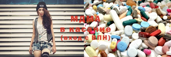 индика Вяземский