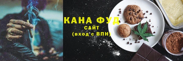 индика Вяземский