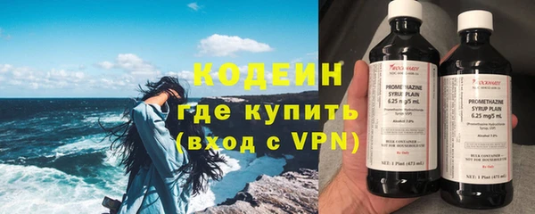 индика Вяземский