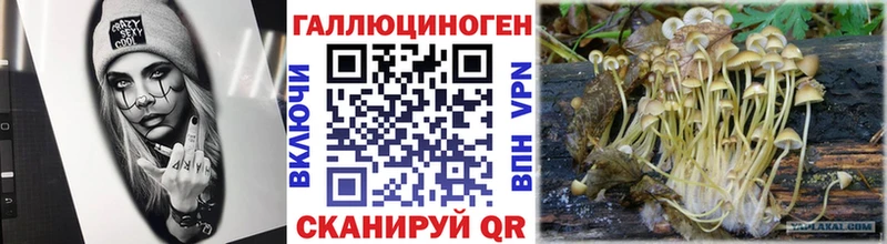 цены наркотик  площадка как зайти  Псилоцибиновые грибы Cubensis  Дивногорск 