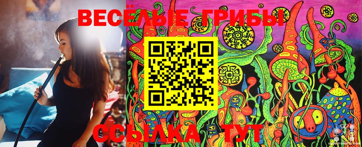 Галлюциногенные грибы MAGIC MUSHROOMS  продажа наркотиков  Дивногорск 